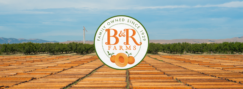 5 Reasons You Should Be Eating Blenheim Dried Apricots