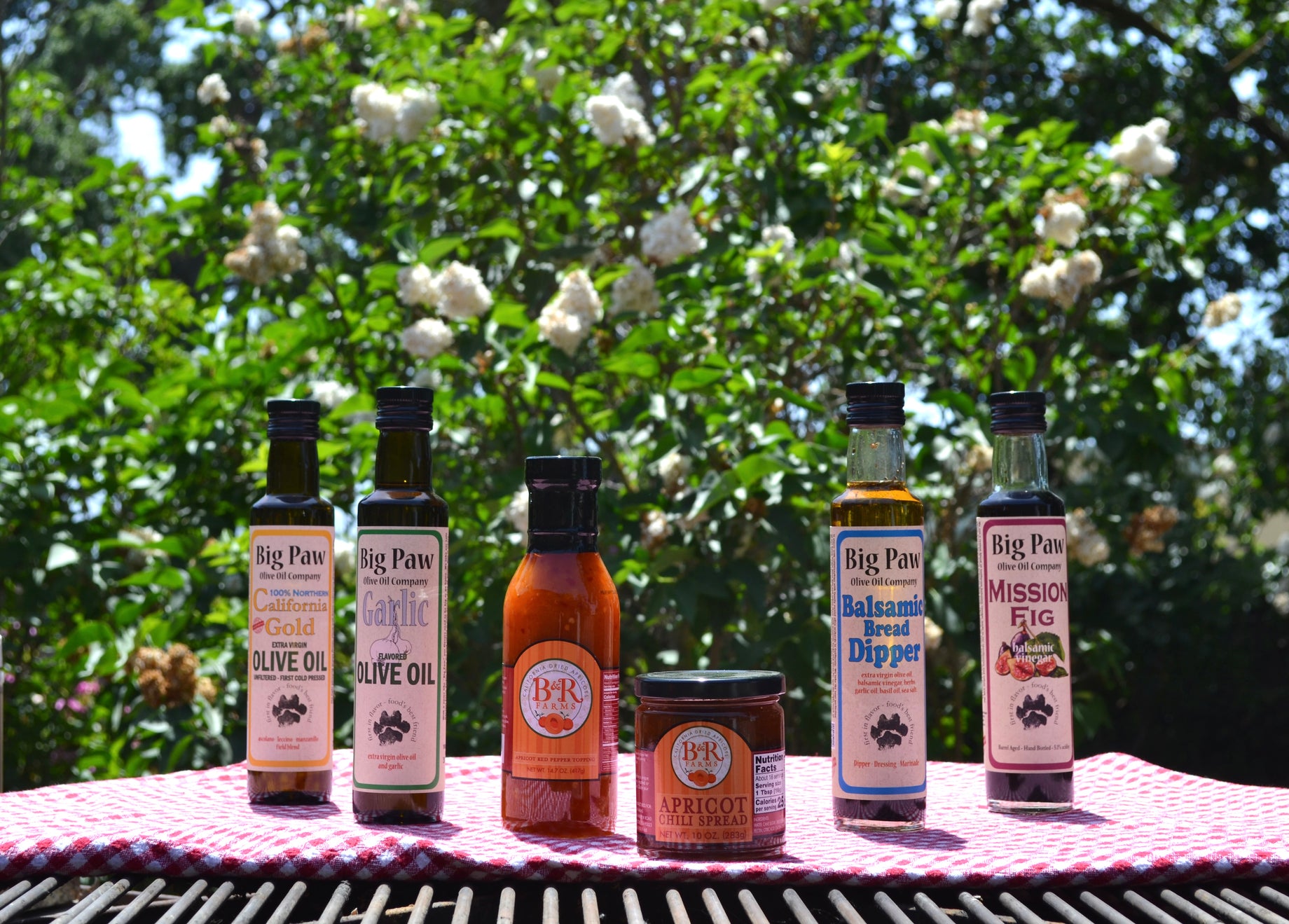 Father's Day Barbeque Recipes