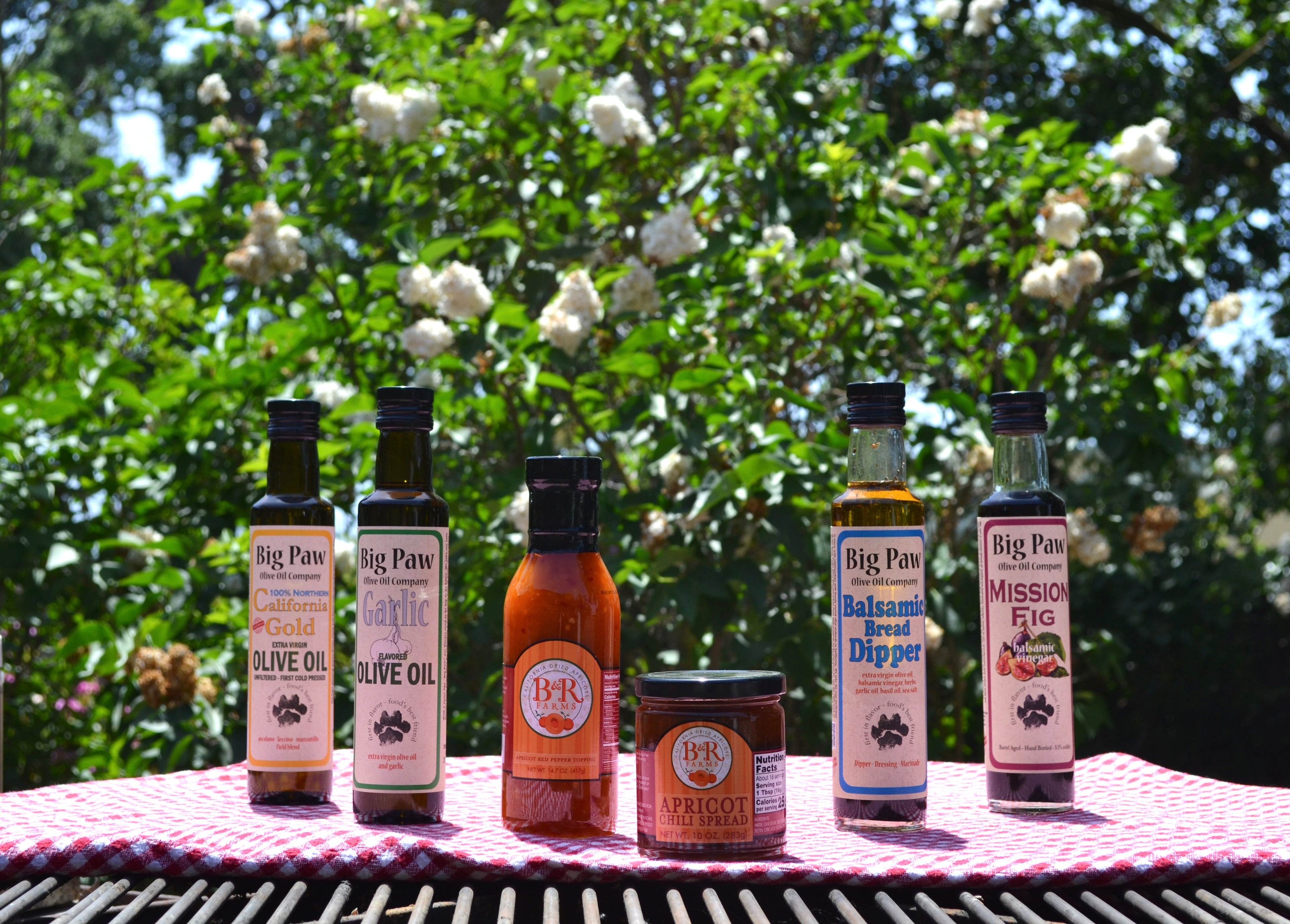 Father's Day Barbeque Recipes