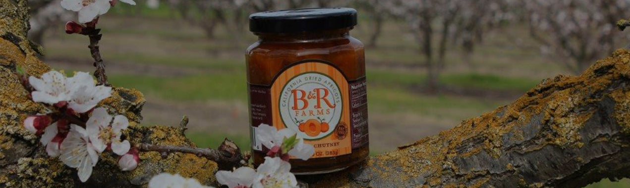 Apricot Fruit Preserves & Toppings