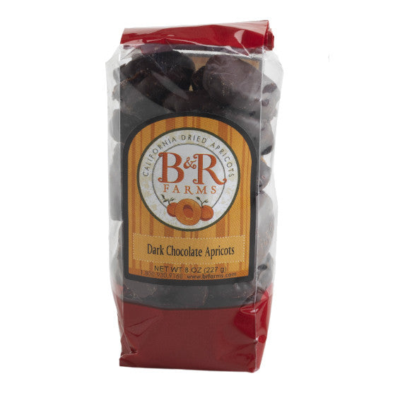 Dark Chocolate Covered Apricot Nibbles 